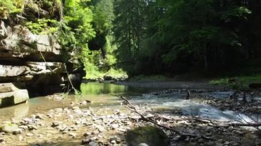 Yazın Karpatya dağlarında nehir ve yeşil ağaçlı kanyon manzarası. Ukrayna 'daki güzel kayalık kanyon. Seyahat, yürüyüş, macera. Nehir kozalaklı ağaçların arasından kanyonda akıyor..