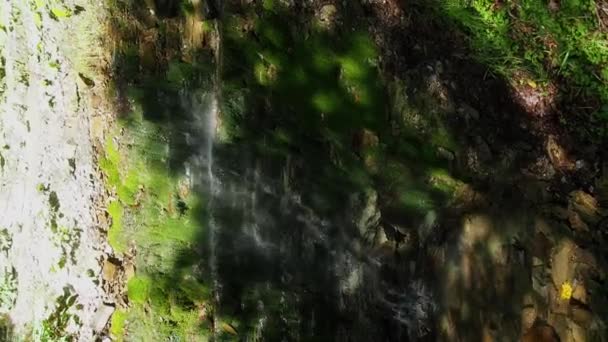 森の崖から落ちる水の景色 流れによって形成された小さな滝を持つ岩の底からの眺め カルパチア人 ウクライナの水晶冷水で小さな滝 — ストック動画