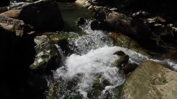 河里的急流 山川流过青翠的森林 溪流在树林里 小河流过其荒芜的石谷 水流得又快又生动 山河上的风暴裂隙 — 图库视频影像