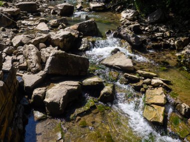Nehirdeki akıntılar. Dağ nehri yeşil ormandan akıyor. Ormanda akarsu. Küçük nehir taşlı vadisinden hızla ve canlı bir şekilde akıyor. Bir dağ nehrinde fırtınalı yarıklar.