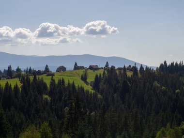 Bulutlu gökyüzü ile Karpatya manzarası. Ahırlı yeşil çayırlar ve orman yakınlarındaki dağlarda evler. Carpathian bölgesinde yaşam tarzı. Ekoloji koruma konsepti. Dünyanın güzelliğini keşfet..