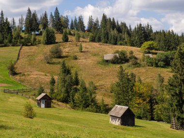 Bulutlu gökyüzü ile Karpatya manzarası. Ahırlı yeşil çayırlar ve orman yakınlarındaki dağlarda evler. Carpathian bölgesinde yaşam tarzı. Ekoloji koruma konsepti. Dünyanın güzelliğini keşfet..