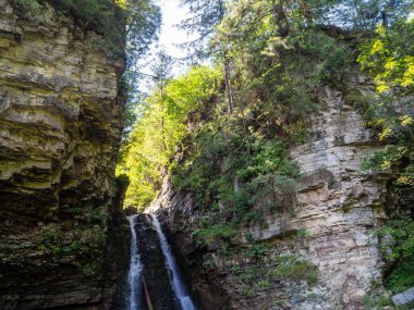 Bukhtivets Şelalesi düştü. Ukrayna Karpat Dağları 'ndaki şelale manzarası. Su kayaların üzerinden güzel bir şekilde akar. Dağ nehri. Dağlarda güzel büyük bir şelale.