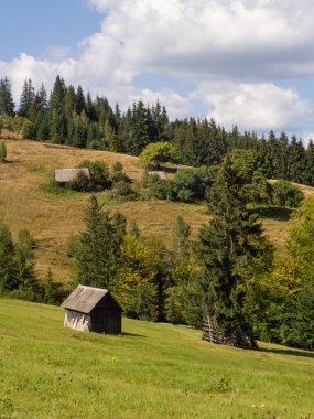 Bulutlu gökyüzü ile Karpatya manzarası. Ahırlı yeşil çayırlar ve orman yakınlarındaki dağlarda evler. Carpathian bölgesinde yaşam tarzı. Ekoloji koruma konsepti. Dünyanın güzelliğini keşfet..