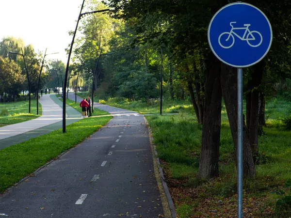 View of the road sign and bike path in the park with copy space. Between the trees of the park there is a bicycle path lined marked with signs and markings. Autumn and fallen leaves on lawns.
