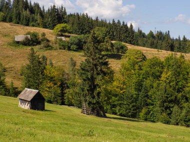 Bulutlu gökyüzü ile Karpatya manzarası. Ahırlı yeşil çayırlar ve orman yakınlarındaki dağlarda evler. Carpathian bölgesinde yaşam tarzı. Ekoloji koruma konsepti. Dünyanın güzelliğini keşfet..