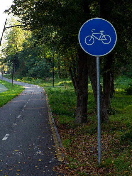 Вид Дорожній Знак Велосипедну Доріжку Парку Копіювальним Простором Між Деревами — стокове фото