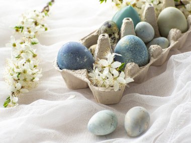 Tepside mavi renkli paskalya yumurtası. Mermer taşlı boyanmış Paskalya yumurtaları kiraz çiçekli beyaz masa örtüsüne açık mavi renk. Fotokopi alanı olan yumurta arkaplanı, Ester tatil kartpostal kavramı