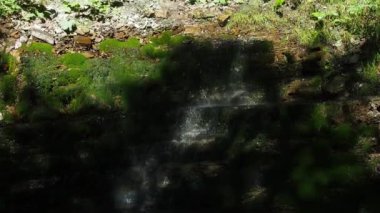 Ormandaki bir uçurumdan düşen su manzarası. Derenin oluşturduğu küçük şelaleli bir kayanın dipteki görüntüsü. Karpatlar, Ukrayna 'da kristal soğuk su bulunan küçük bir şelale..
