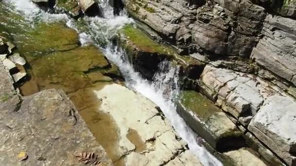 Los Rápidos Río Río Montaña Que Fluye Través Del Bosque — Vídeos de Stock