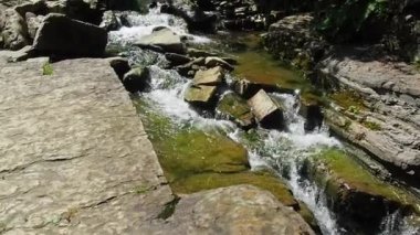 Nehirdeki akıntılar. Dağ nehri yeşil ormandan akıyor. Ormanda akarsu. Küçük nehir taşlı vadisinden hızla ve canlı bir şekilde akıyor. Bir dağ nehrinde fırtınalı yarıklar.