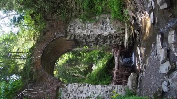 ウクライナ カルパティア山脈の村の狭軌のヴォロッカス橋の美しい遺跡 古い石は山林の小さな川の上に橋をアーチしました — ストック動画