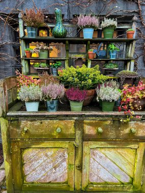 Rafları olan güzel, şık ahşap bir dolap. Saksı bitkilerini sergilemek için mükemmel. Kırsal cazibesi evlere ve bahçelere samimi ve davetkar bir dokunuş getirerek her yeri güzelleştirir..