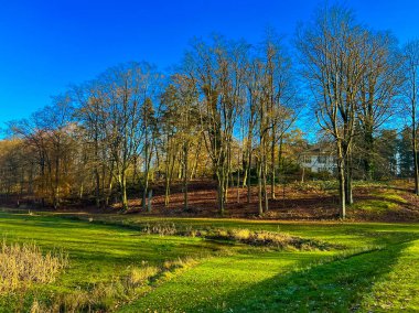 Waterloo, Belçika 'da nefes kesici bir sonbahar manzarası, berrak mavi bir gökyüzü altında canlı ağaçlarla çevrili dingin bir göl. Doğa aşıkları için mükemmel..
