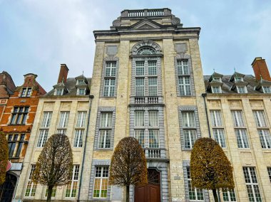 Leuven 'deki bir binanın geniş açılı dış görünüşü modern ve tarihi mimarinin bir karışımını gösteriyor. Görüntü, karmaşık detayları ve şehrin canlı özünü yakalıyor. Belçika