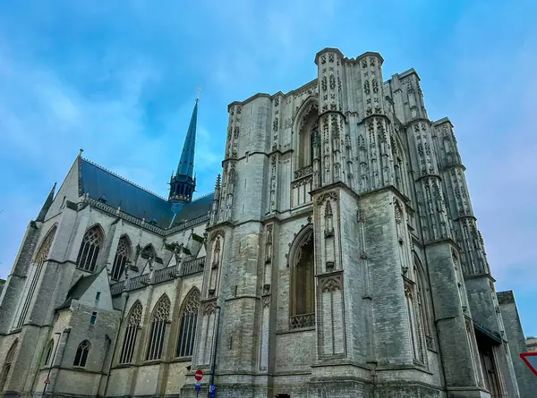 Bu görüntü, geniş bir açıdan çekilmiş, Löven 'deki antik bir gotik katedralin dış yüzünü gösteriyor. Huzurlu mavi gökyüzü güzel bir zemin oluşturuyor. İnsanlar etrafta gezinip sahneyi güzelleştiriyor..