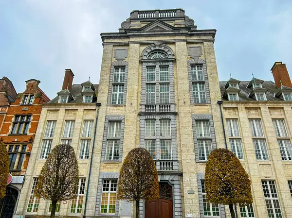 Leuven 'deki bir binanın geniş açılı dış görünüşü modern ve tarihi mimarinin bir karışımını gösteriyor. Görüntü, karmaşık detayları ve şehrin canlı özünü yakalıyor. Belçika