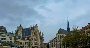 Leuven 'de canlı yeşillik, Belçika ile çevrili çarpıcı tarihi mimari sergilenen pitoresk bir meydan.