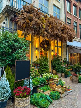 Yeşillik yeşil bitkiler ve kırsal ahşap kutularda ağaçlarla düzenlenmiş canlı çiçeklerle süslü, hoş bir çiçekçi. Kentsel bahçe ve çiçek güzelliğinin mükemmel bir tasviri..