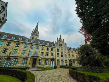 Bu resim, Leuven 'deki modern binaların çarpıcı bir çizgisel cephesini gösteriyor. Yeşillik ortasındaki eski bir kule binasını gösteriyor. Çakıl taşı yolları sizi keşfetmeye davet ediyor..