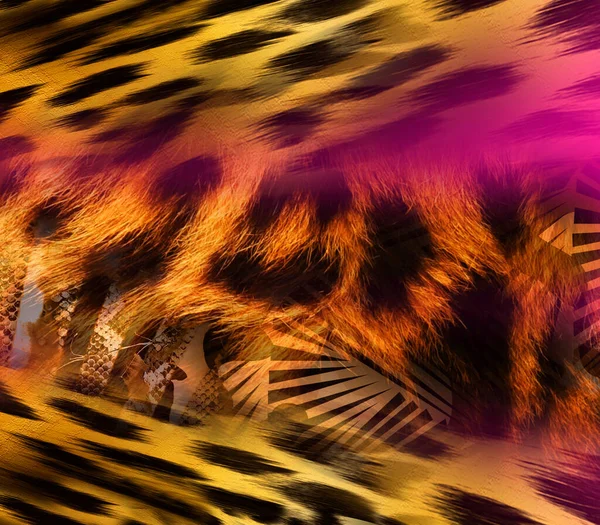 Färgglada Mönster Studie Leopard Zebra Kamouflage Och Klänning Mönster Textil — Stockfoto