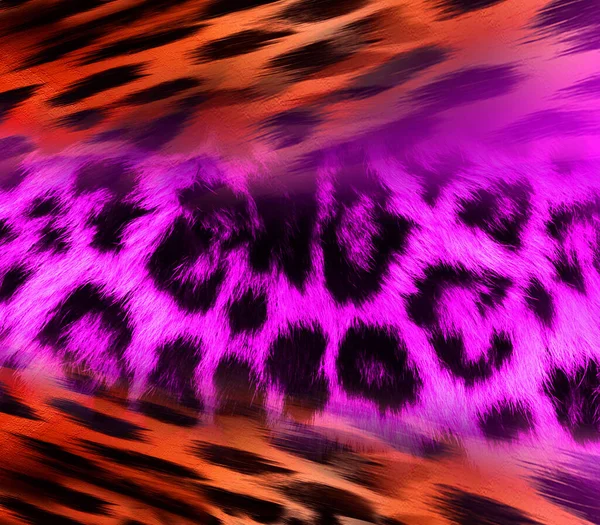 Estudio Patrones Coloridos Diseños Leopardo Cebra Camuflaje Vestido Patrón Tejido — Foto de Stock