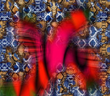 soyut tavus kuşu renkli geometrik desen, tekstil ve tasarım için renkli dalgalı desen, yaratıcı tasarım için soyut fraktal çizim, renkli psikedelik arkaplan