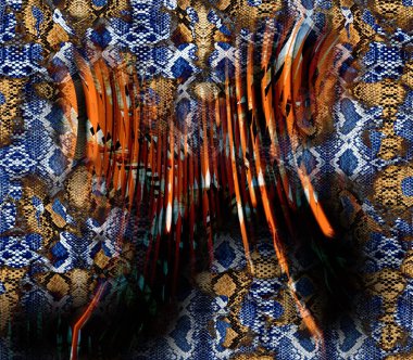 soyut tavus kuşu renkli geometrik desen, tekstil ve tasarım için renkli dalgalı desen, yaratıcı tasarım için soyut fraktal çizim, renkli psikedelik arkaplan