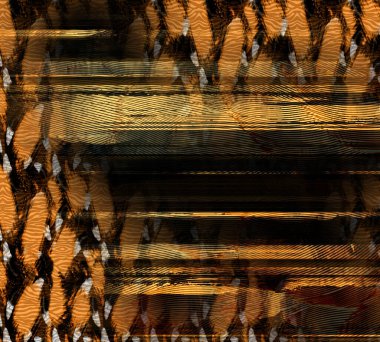 soyut tavus kuşu renkli geometrik desen, tekstil ve tasarım için renkli dalgalı desen, yaratıcı tasarım için soyut fraktal çizim, renkli psikedelik arkaplan