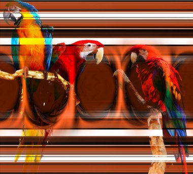 Renkli desenler, kumaş desenler, yatay ince renkli çizgiler. Tekstil çizimi. Renkli zig zag desenli soyut desenli desen.