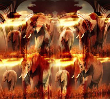 Renkli Desenler Çalışması, Leopar, Elbise Tasarımları. Tekstil, Kumaş, Yastık ve Modern Kolaj Şablonu. Dijital baskı elbisesi, moda tasarımları, baskı, moda desenleri.