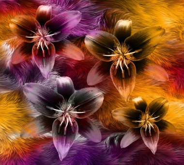 soyut, soyut desen, Afrika, Afrika, arka plan, barok, batik, renkli tasarım, renkli kumaş deseni, renkli desen, kombinasyon deseni, dekoratif, tasarım