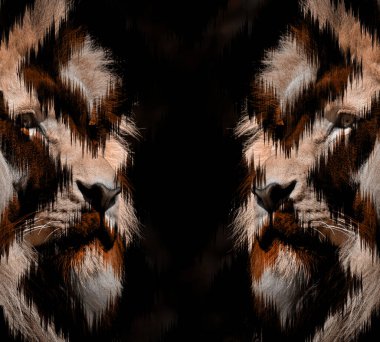 soyut, soyut desen, Afrika, Afrika, arka plan, barok, batik, renkli tasarım, renkli kumaş deseni, renkli desen, kombinasyon deseni, dekoratif, tasarım