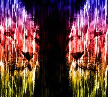 soyut, soyut desen, Afrika, Afrika, arka plan, barok, batik, renkli tasarım, renkli kumaş deseni, renkli desen, kombinasyon deseni, dekoratif, tasarım