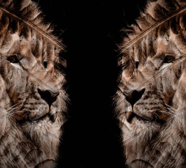 soyut, soyut desen, Afrika, Afrika, arka plan, barok, batik, renkli tasarım, renkli kumaş deseni, renkli desen, kombinasyon deseni, dekoratif, tasarım