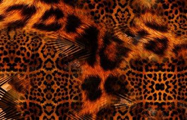 Moda desenleri, tekstil kumaş desenleri, moda kumaşı desenleri. Renkli moda desenleri..