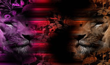 Moda desenleri, tekstil kumaş desenleri, moda kumaşı desenleri. Renkli moda desenleri..