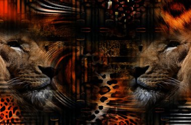 Moda desenleri, tekstil kumaş desenleri, moda kumaşı desenleri. Renkli moda desenleri..