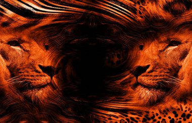 Moda desenleri, tekstil kumaş desenleri, moda kumaşı desenleri. Renkli moda desenleri..