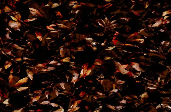 Yazdırma, Tekstil Kumaşı Yazdırma Şablonu, Yastık Tasarımı, Giysi Tasarımı, Leopar, Kamuflaj, Zebra, Barok ve Kombinasyon Desenleri.