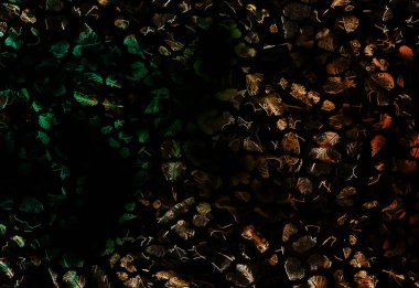 Renkli leopar deseni. Modern moda baskıları. Tekstil çizimi. Tekstil kumaş deseni.