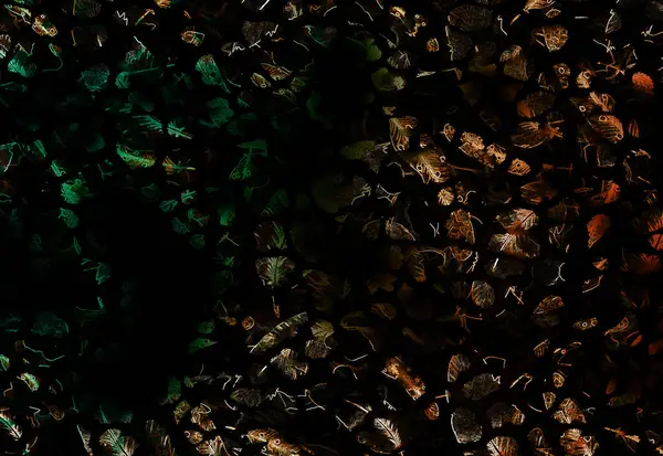 Renkli leopar deseni. Modern moda baskıları. Tekstil çizimi. Tekstil kumaş deseni.