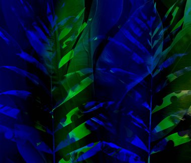 Dijital efektler. Kumaş desenleri. Renkli desenler. Kumaş izleri, desenler, tekstil izleri, kıyafet desenleri, renkli çizgiler, tekstil desenleri, baskı desenleri, moda desenleri, sanat eserleri.