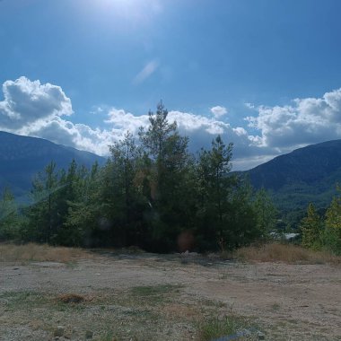 Hayatın, doğanın, binaların, sade manzaranın fotoğrafları.