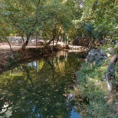 Hayatın, doğanın, binaların, sade manzaranın fotoğrafları.