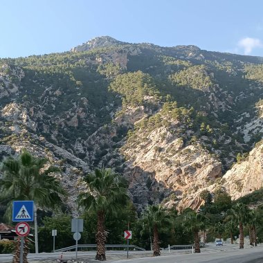 Hayatın, doğanın, binaların, sade manzaranın fotoğrafları.
