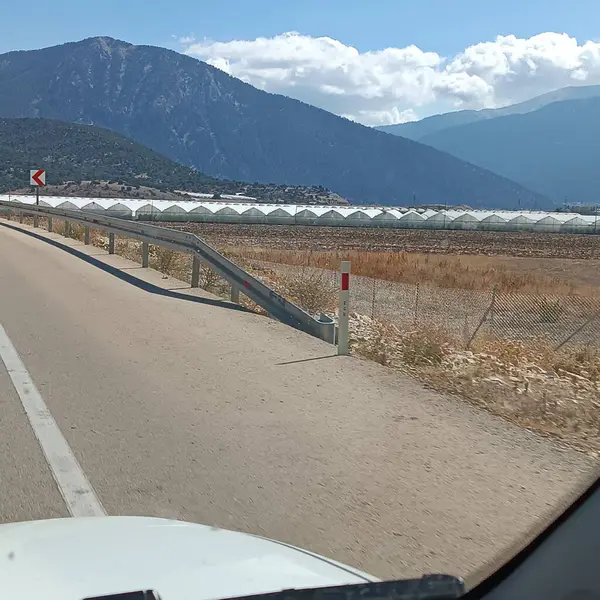 Hayatın, doğanın, binaların, sade manzaranın fotoğrafları.