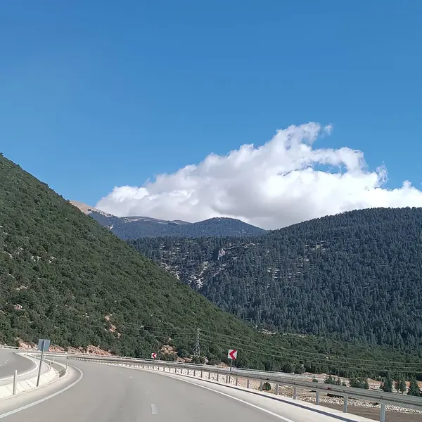 Hayatın, doğanın, binaların, sade manzaranın fotoğrafları.
