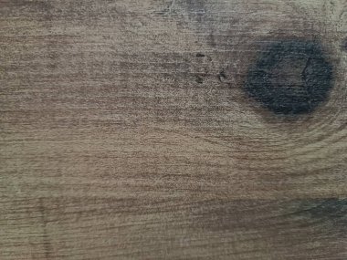 Hayattan, doğadan, nesnelerden, güzel manzaralardan fotoğraflar