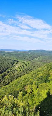 Kültürel turizm, doğa hayatı ve farklı kültürler
